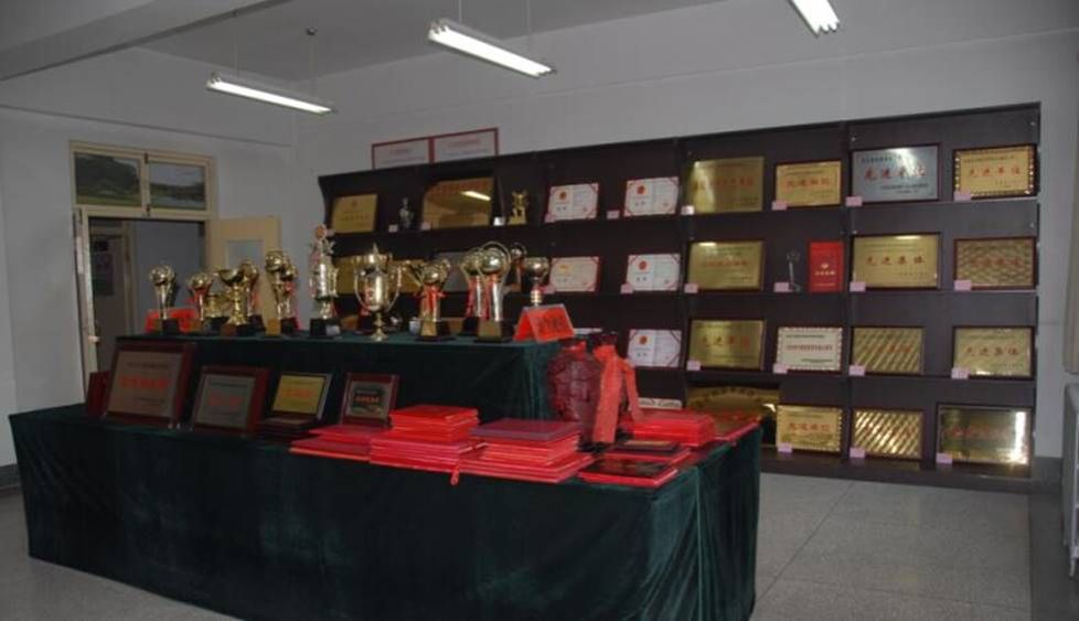 说明: //www.sanrangvip.com/resource/tpl1/static/images/honor3.jpg